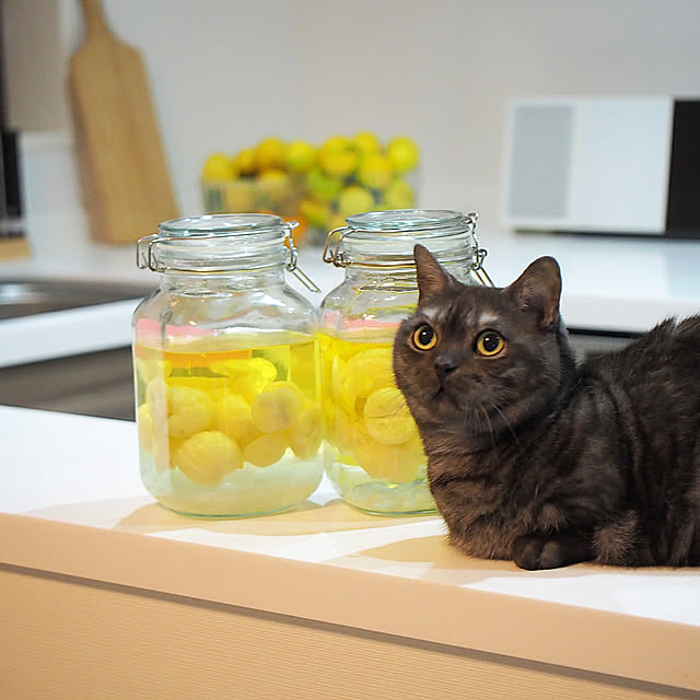 tomatoさんの実例写真