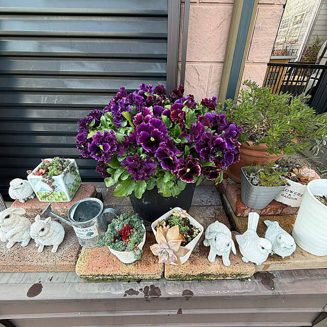 ritsukoさんの実例写真