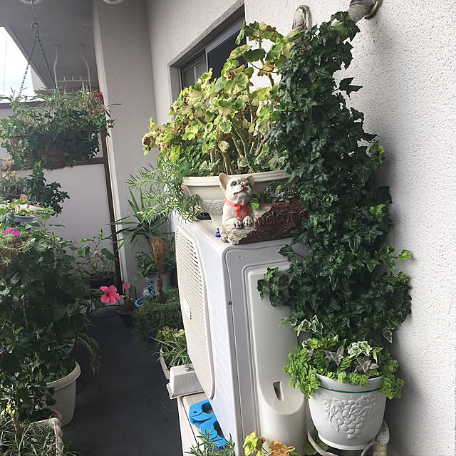 nanaさんの実例写真