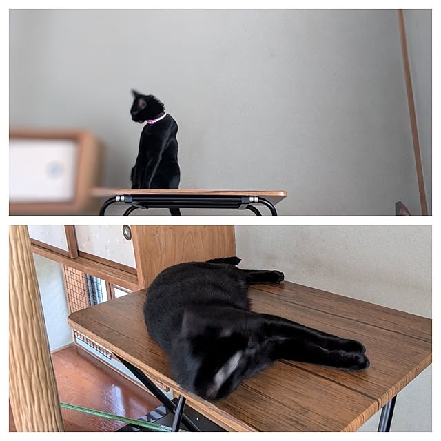 asaさんの部屋