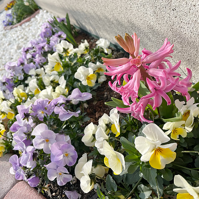 Melさんの実例写真