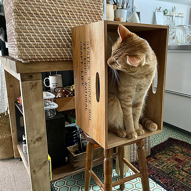 rijuさんの実例写真