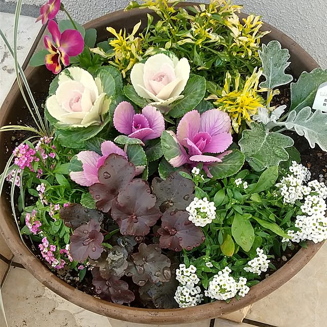 hanano087さんの実例写真