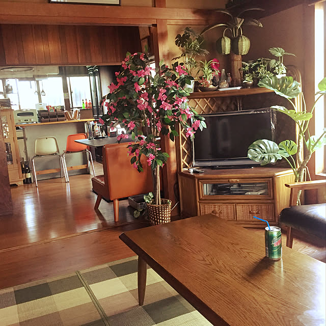 部屋全体/フェイクグリーンのインテリア実例 - 2018-06-09 16:03:46