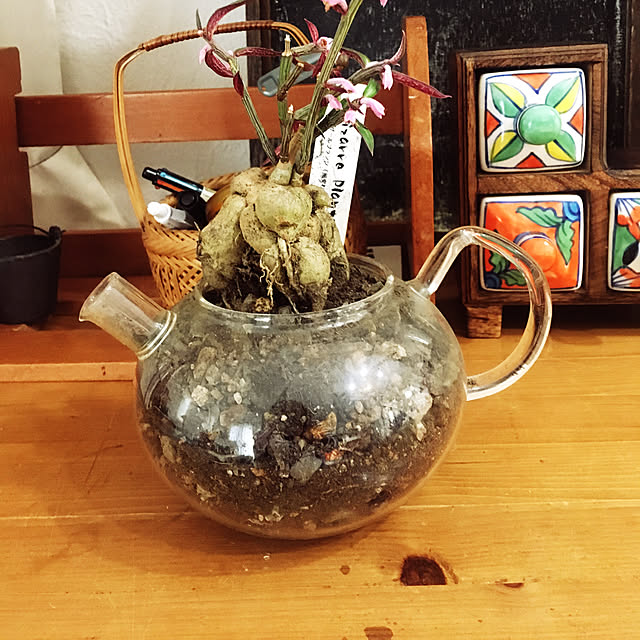 waizumiさんの実例写真