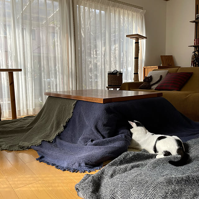 nobikoさんの実例写真