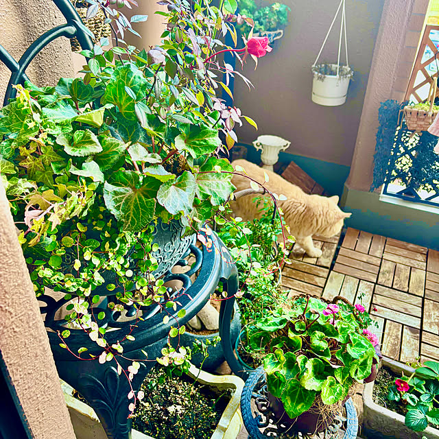 naokoさんの実例写真