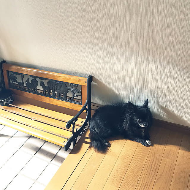 eriさんの実例写真