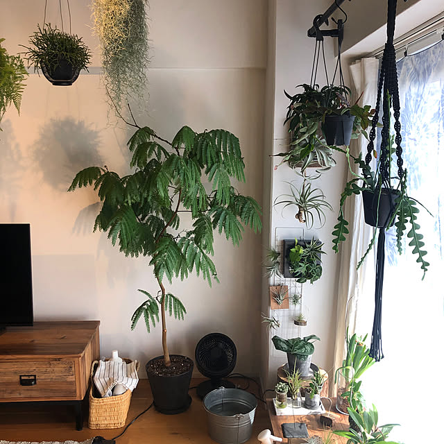 namiheiさんの部屋