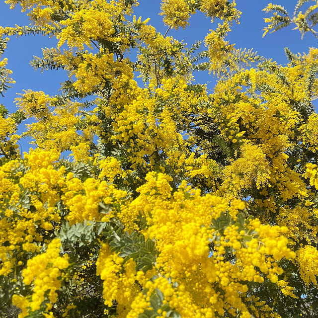 na-chanさんの部屋