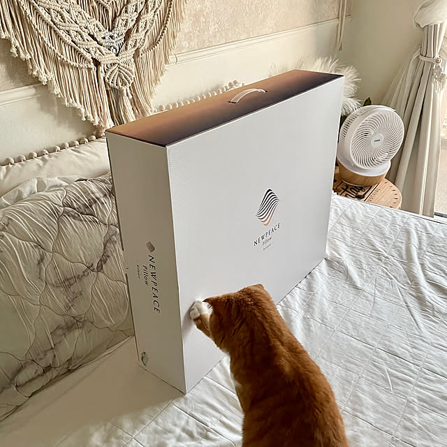 airararaさんの部屋