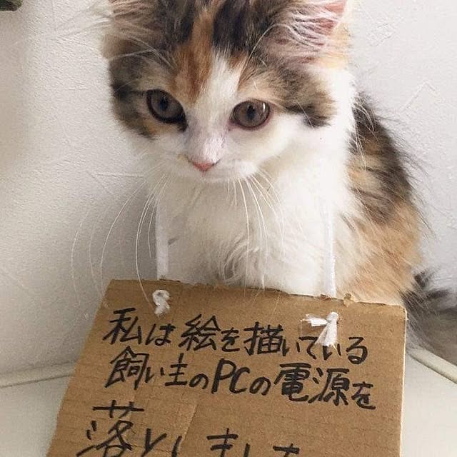 Tackunさんの部屋