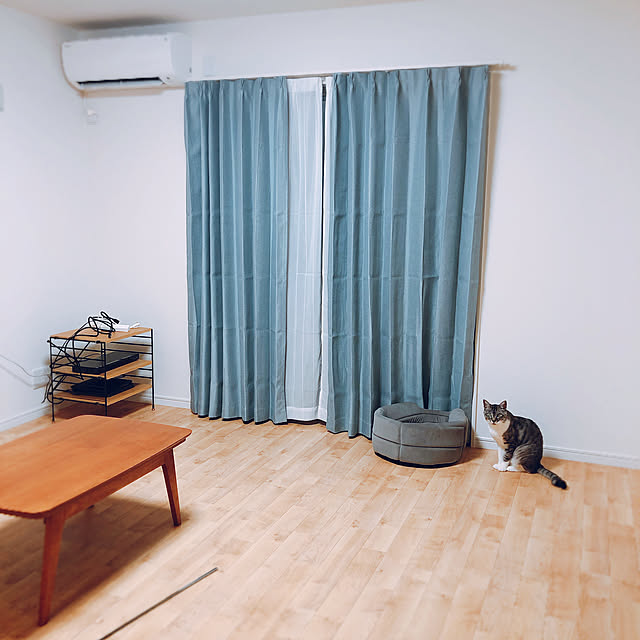 サンゲツクッションフロア/猫がいる生活/部屋全体のインテリア実例 - 2019-09-04 12:46:50