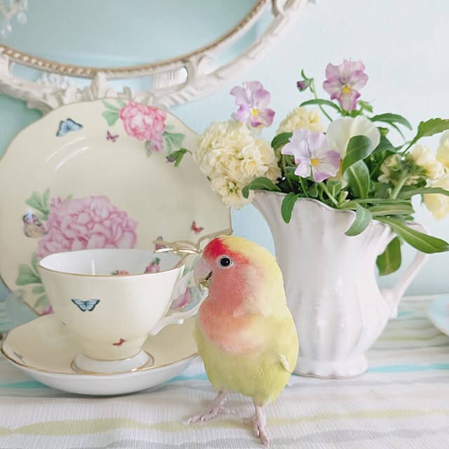 twinkle-butterfly38さんの部屋