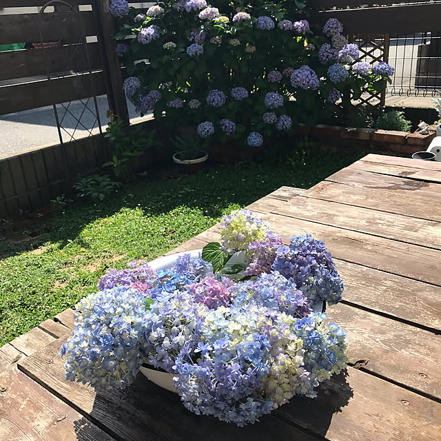 nao_fleuriさんの部屋