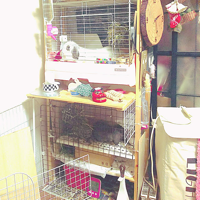 WASABIさんの実例写真