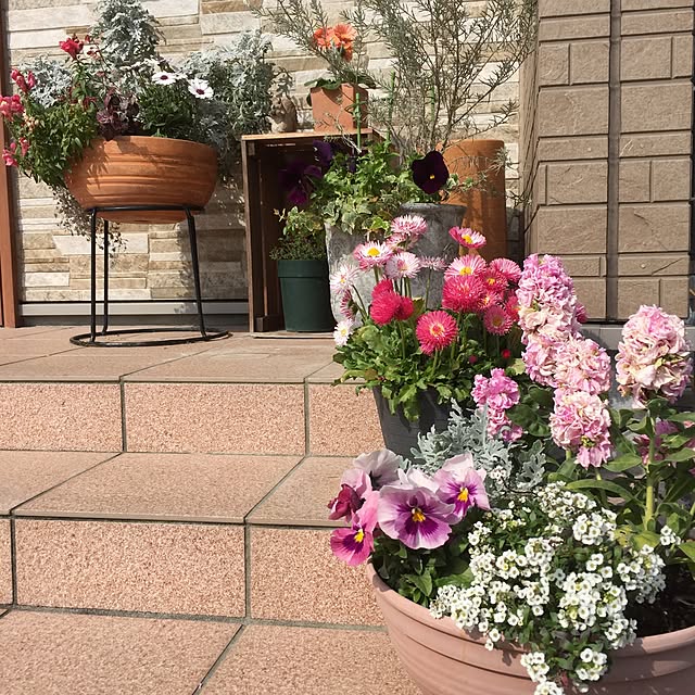 c.kさんの実例写真