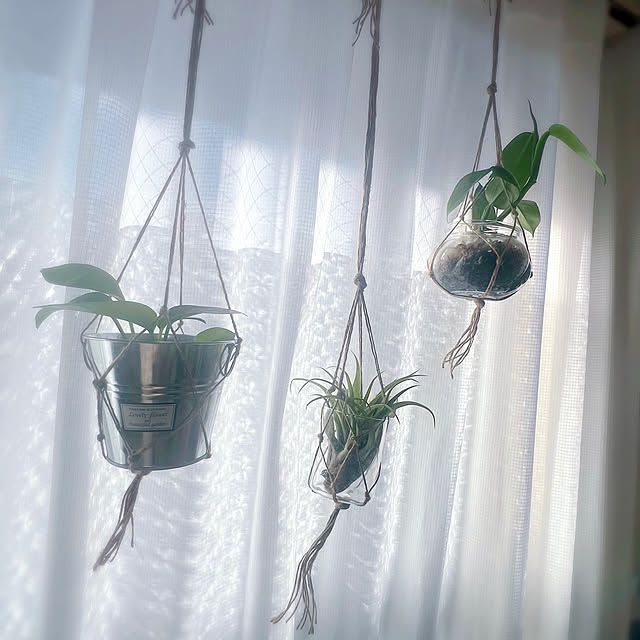 Ritsuさんの実例写真