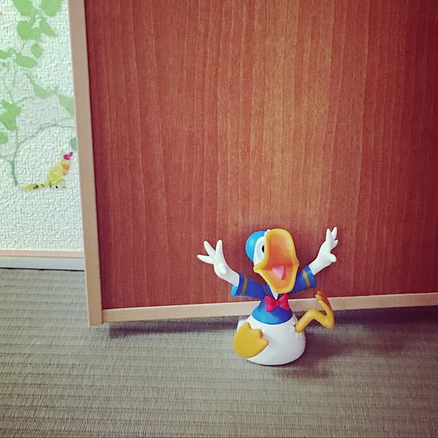 suchさんの実例写真
