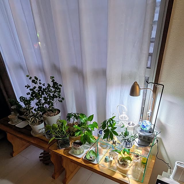 mi-saさんの部屋