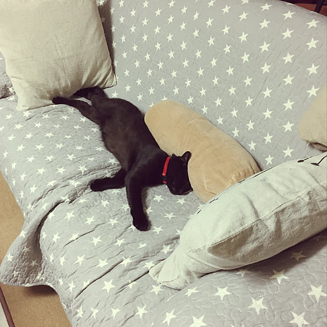 nanaさんの実例写真