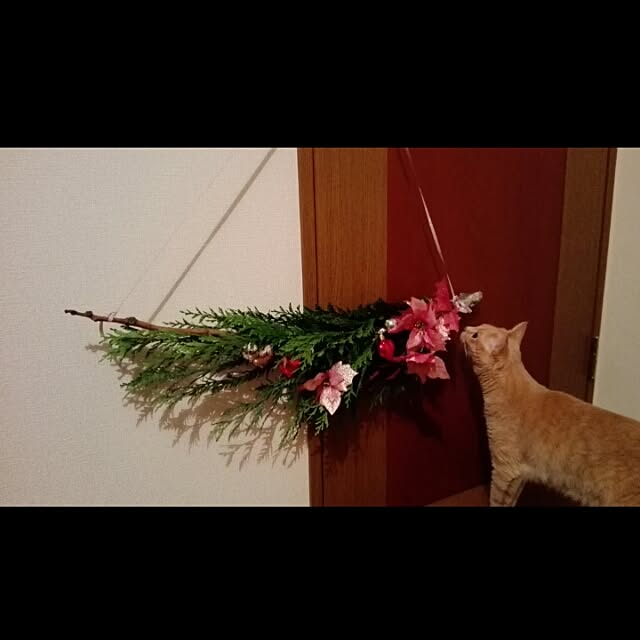 nana.maroさんの実例写真