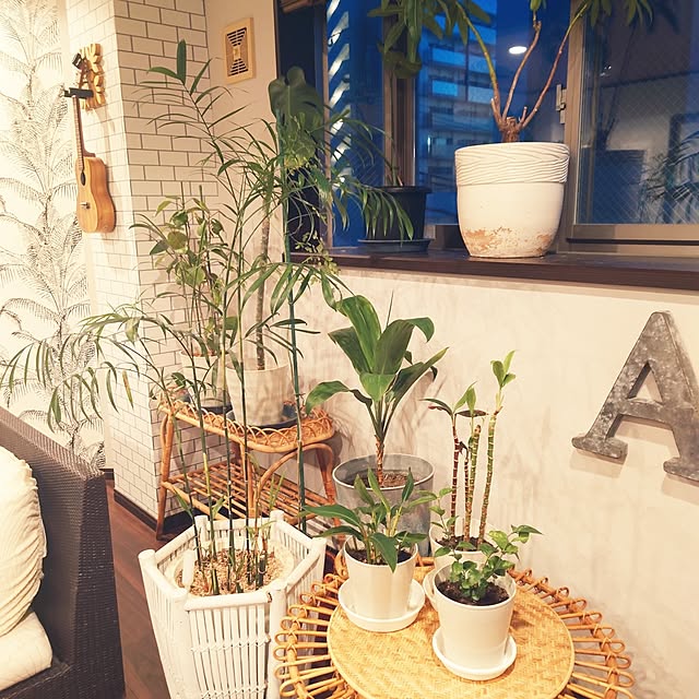 cocosorasakuさんの実例写真