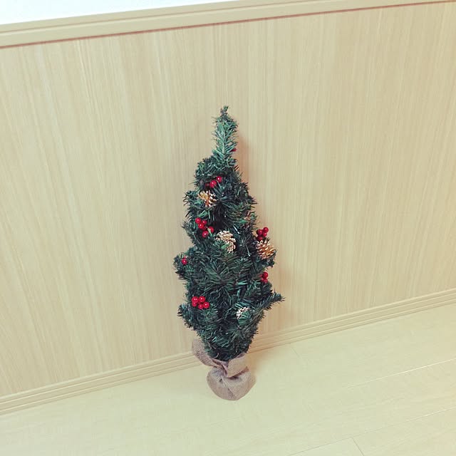 nomlisaさんの実例写真