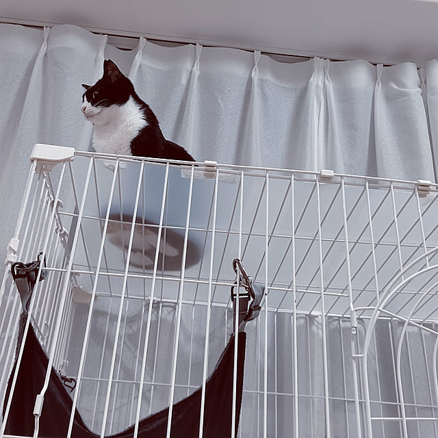 hihaさんの実例写真