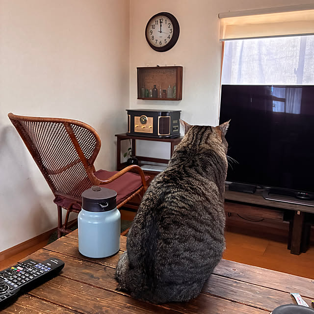 mikan161さんの実例写真