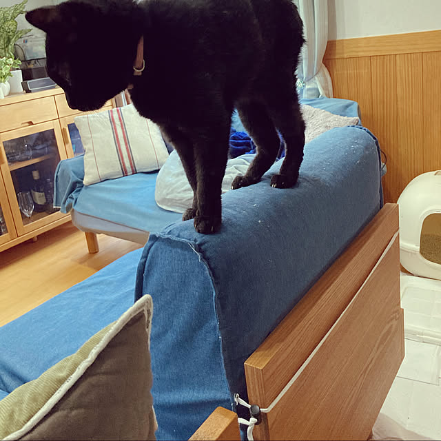 chakuron.iさんの実例写真