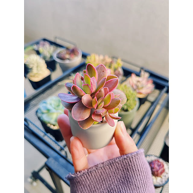 w_end_0625さんの実例写真
