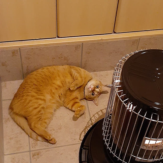 amtさんの実例写真