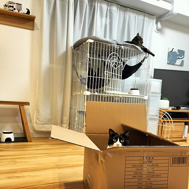 hihaさんの実例写真