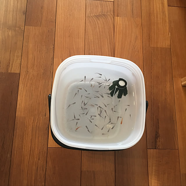 KCFSARさんの実例写真