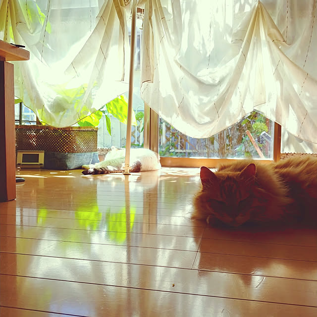 choku3さんの実例写真