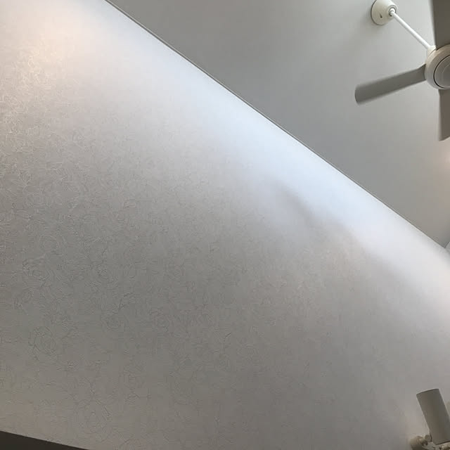壁/天井のインテリア実例 - 2018-07-17 16:26:15