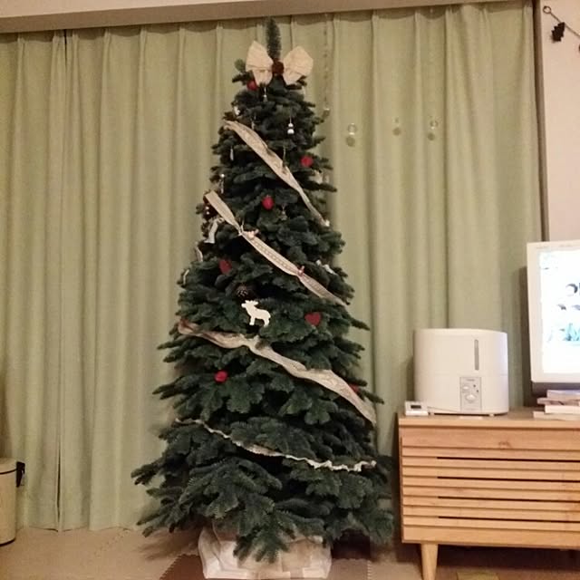Mioさんの実例写真