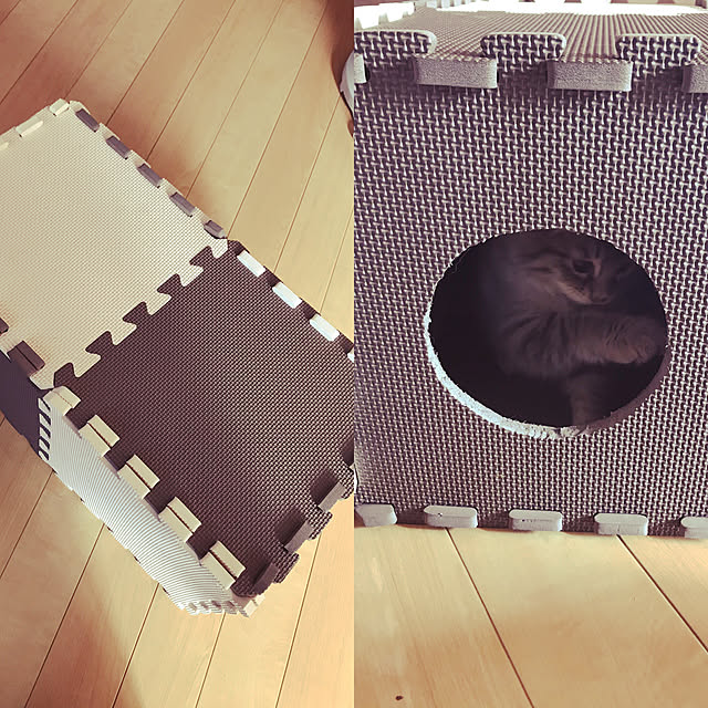 mArukuさんの実例写真