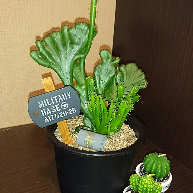 cocosorasakuさんの実例写真