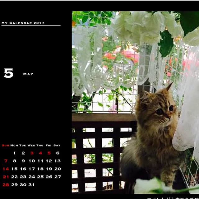butachanさんの実例写真