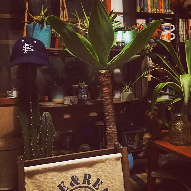 taf_serviceさんの実例写真