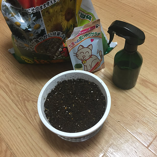 sayuuuさんの実例写真