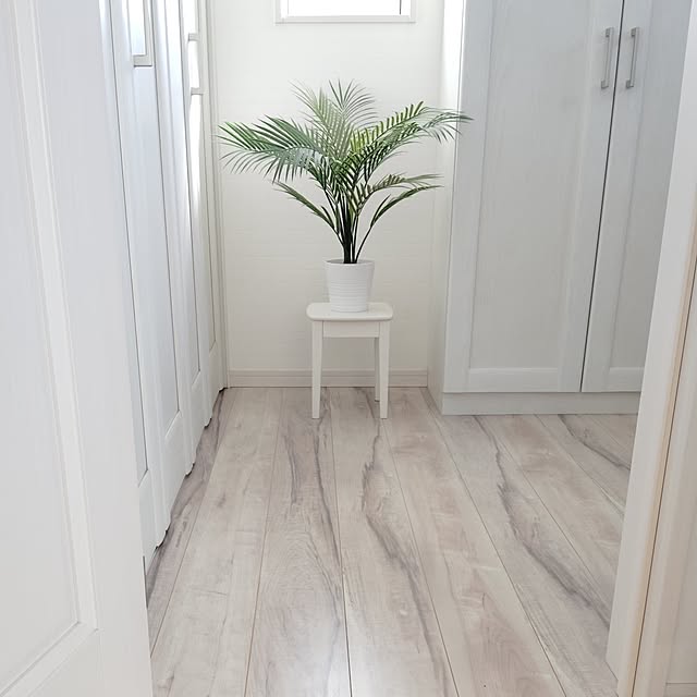 SSSSSさんの実例写真