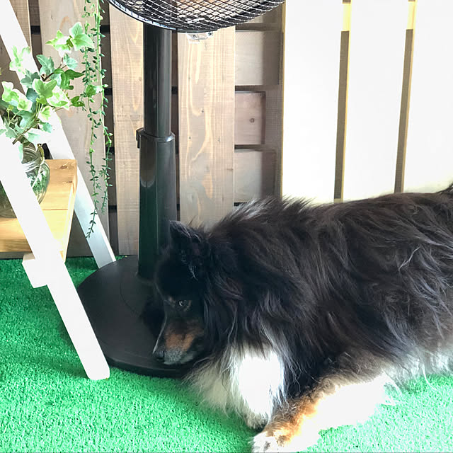 memesanさんの実例写真