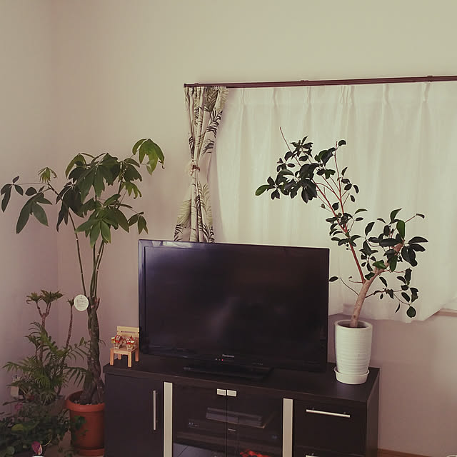 Mikaさんの実例写真