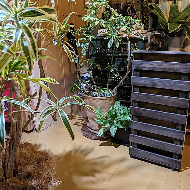 GINさんの部屋