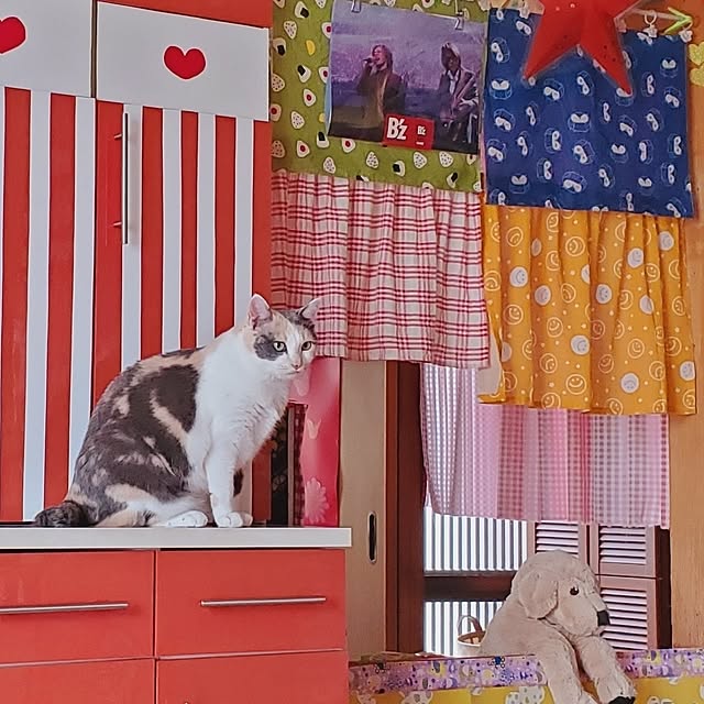 kumutanさんの実例写真