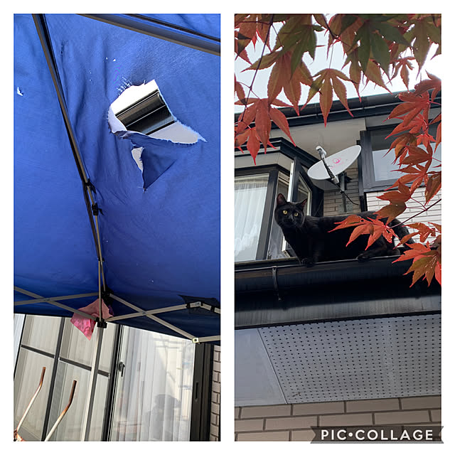 Toruさんの実例写真