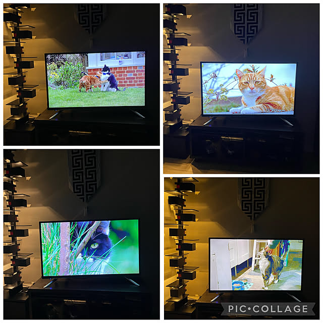 aureaさんの実例写真
